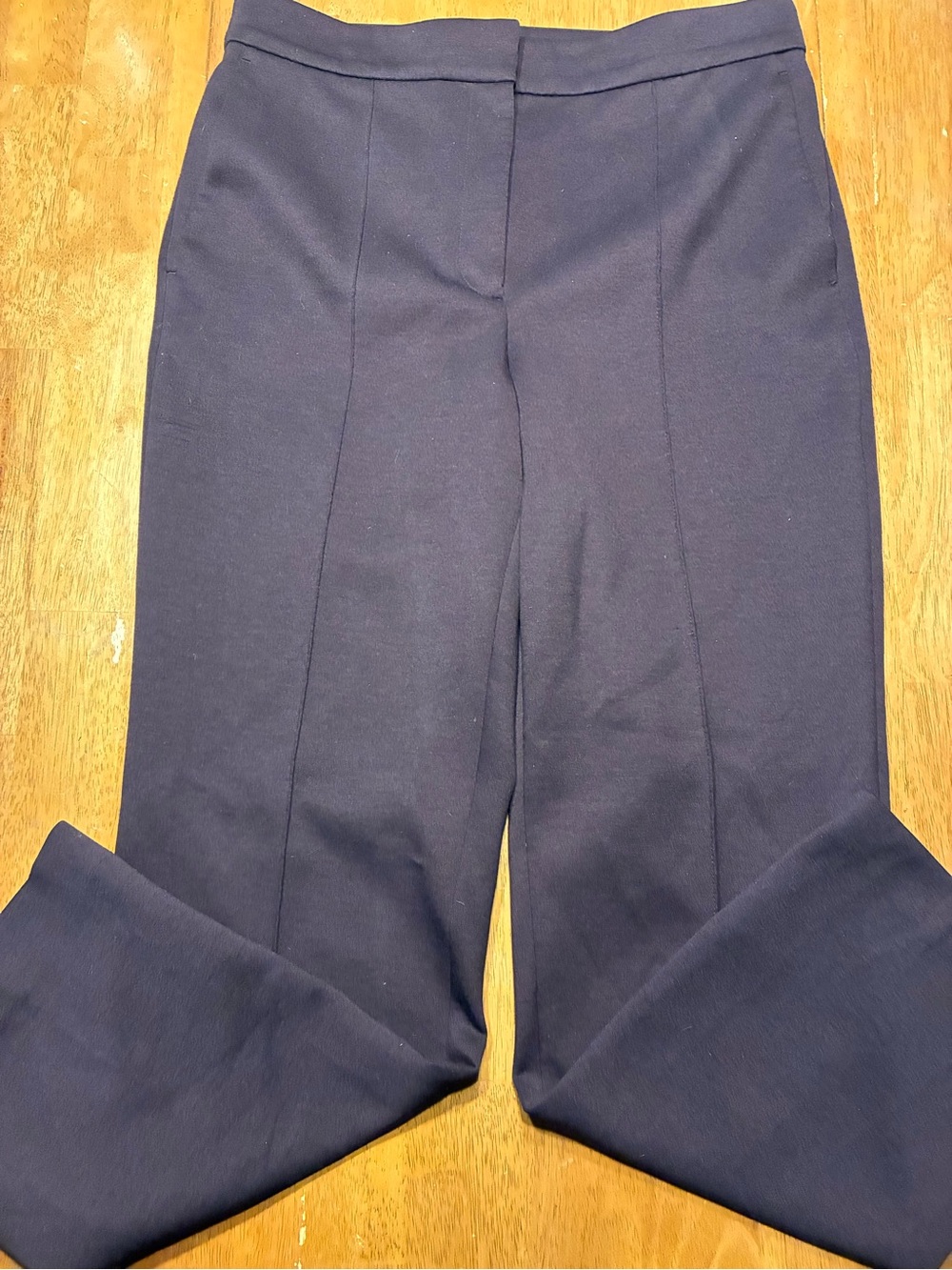 Ann Taylor Burgundy Dress Pants